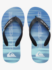 Quiksilver Molokai Art II Jandals - Youth