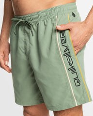 Quiksilver Everyday Vert Volley 17" Short - Sea Spray