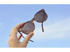 Moana Rd The Chandlers - Tort